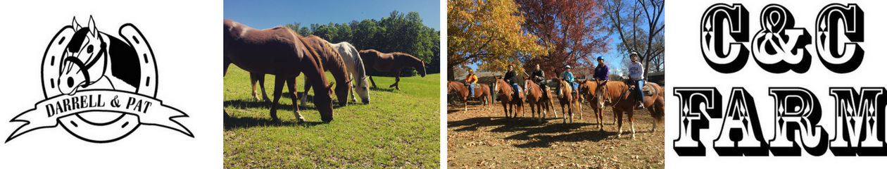 C&C Farm Trail Rides, Lessons & Horse Boarding 